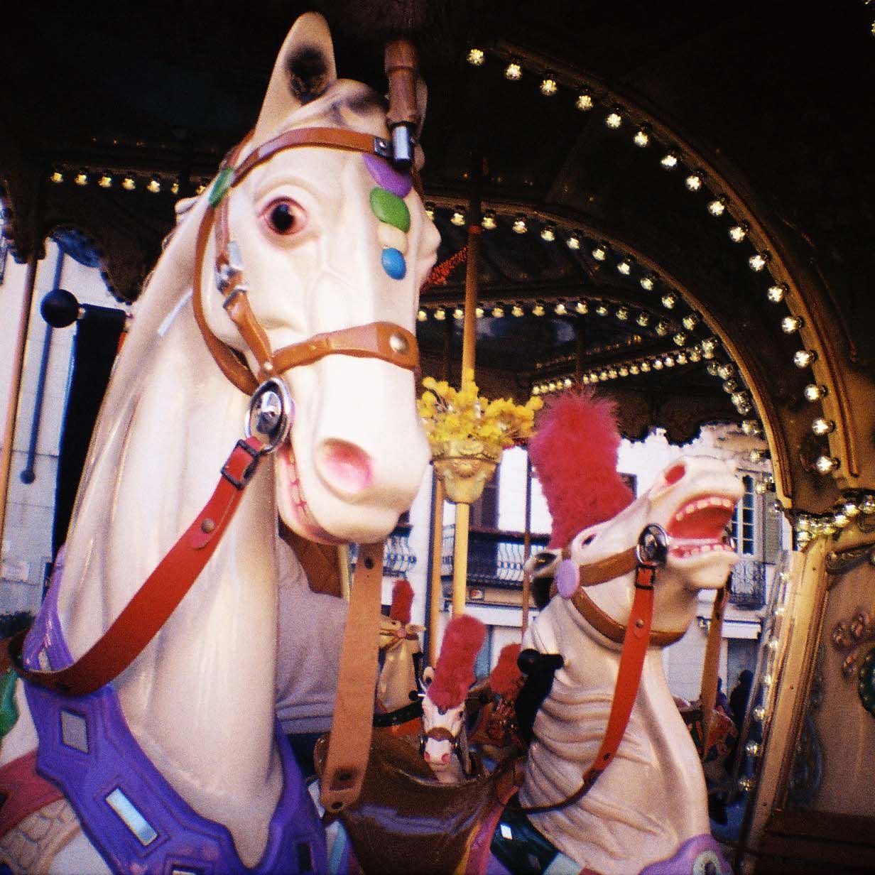 photos by Diana Mini film camera