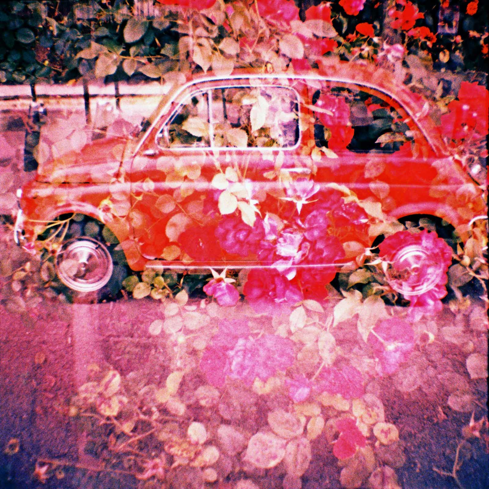 photo by Diana Mini lomo film camera
