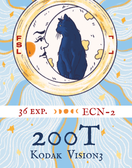 Kodak Vision3 200T Color Negative Film (35mm Roll Film, 36 Exposures)