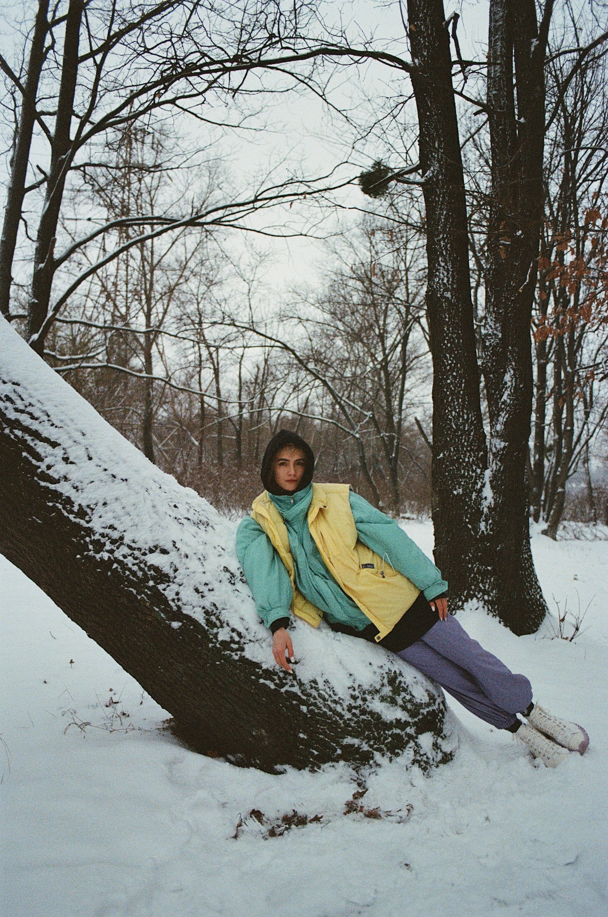 Lomography 800/36 colorneg film (135 type roll film, 36 Exposures), 1 roll