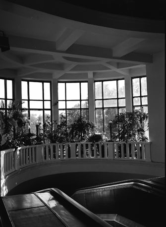 orangery shot on Kodak Tmax 400 black and white film