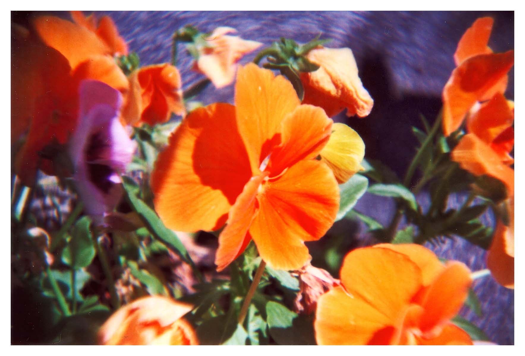 Konstruktor SLR camera DIY Kit by Lomography