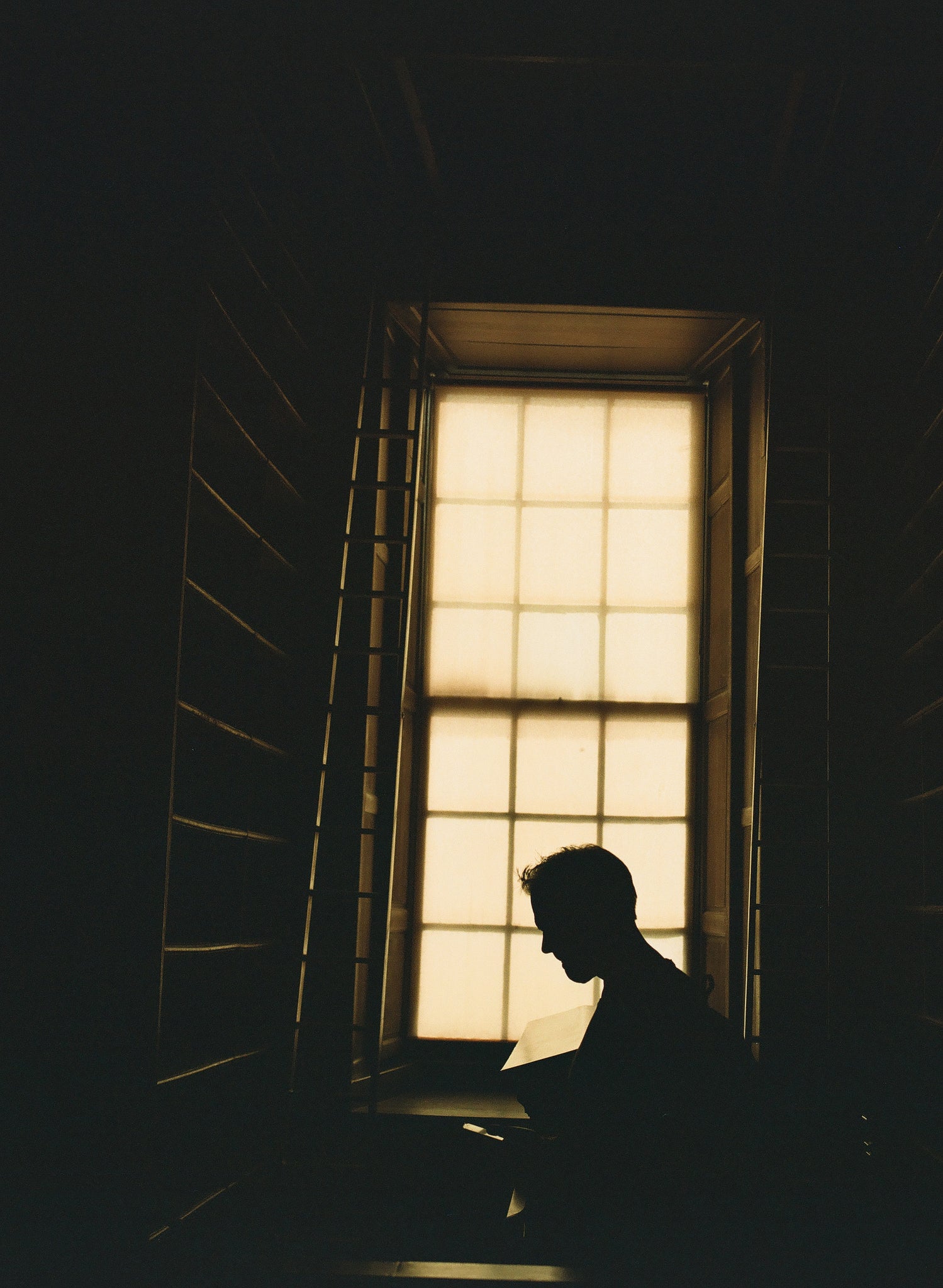 Kodak Portra 800 Color Negative Film (120 Roll Film), 1 Roll