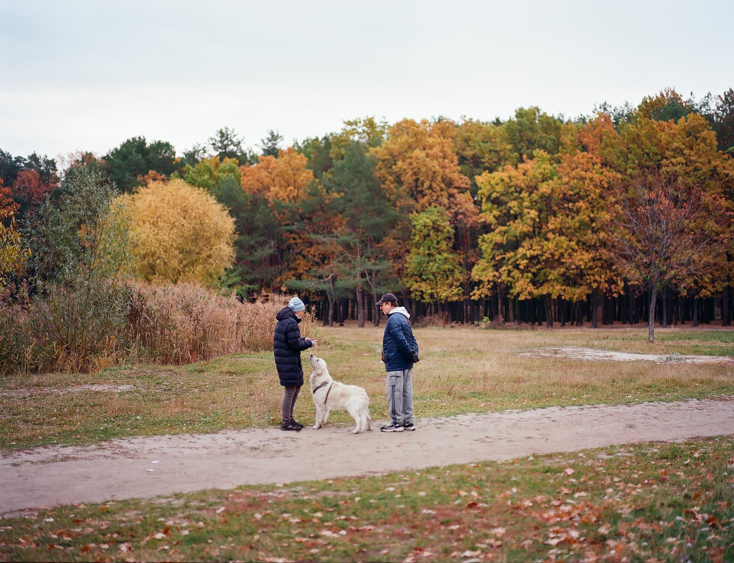 Kodak Ektar 100 (120 type roll film), 1 roll