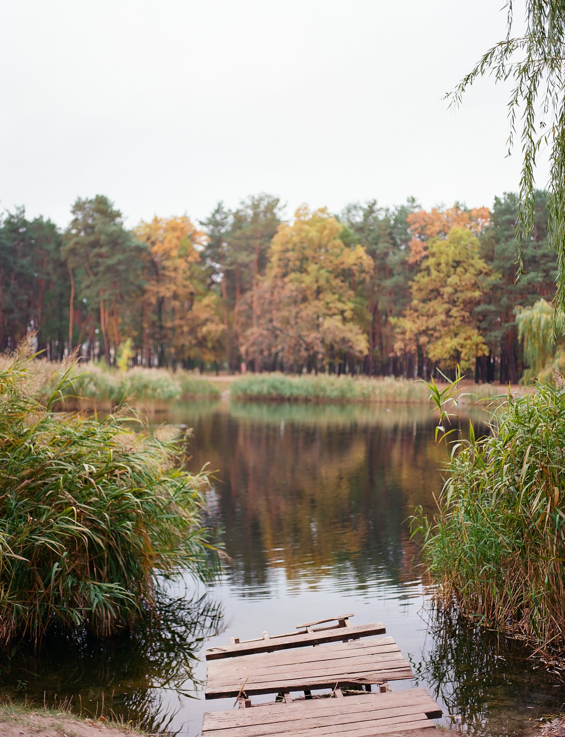 Kodak Ektar 100 (120 type roll film), 1 roll