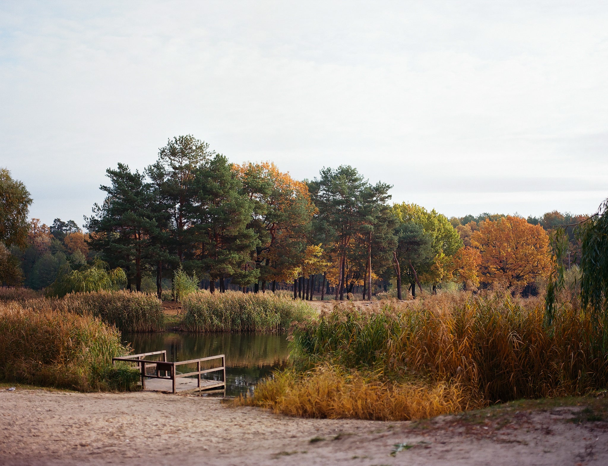 Kodak Ektar 100 (120 type roll film), 1 roll