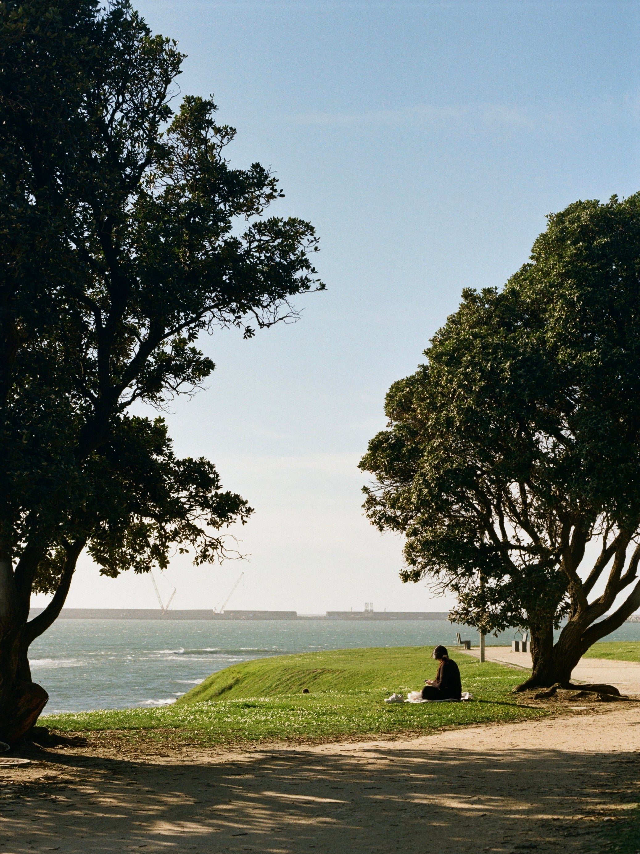 Kodak Kodacolor 100 Color Negative Film (35mm Roll Film, 36 Exposures)