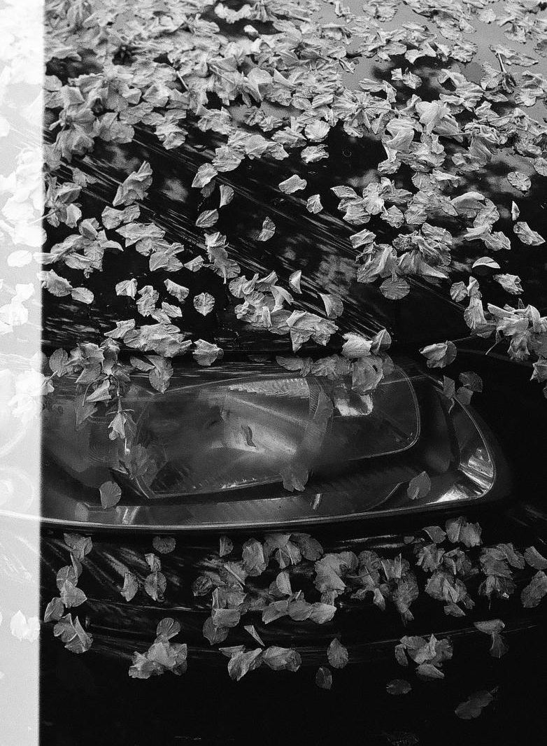 Kodak TMax 400 BW Film (120 Roll Film), 1 Roll