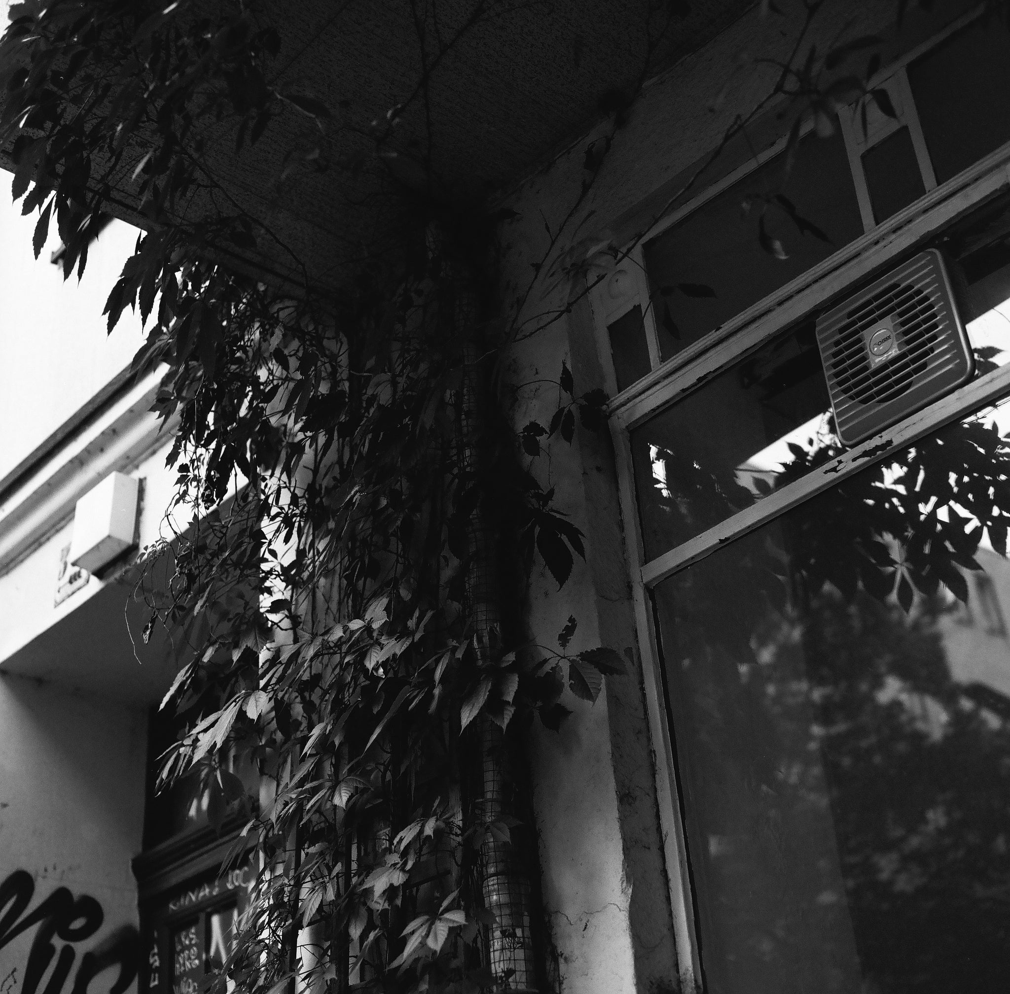 Ilford HP5 plus 400 B&W 120 type Roll Film