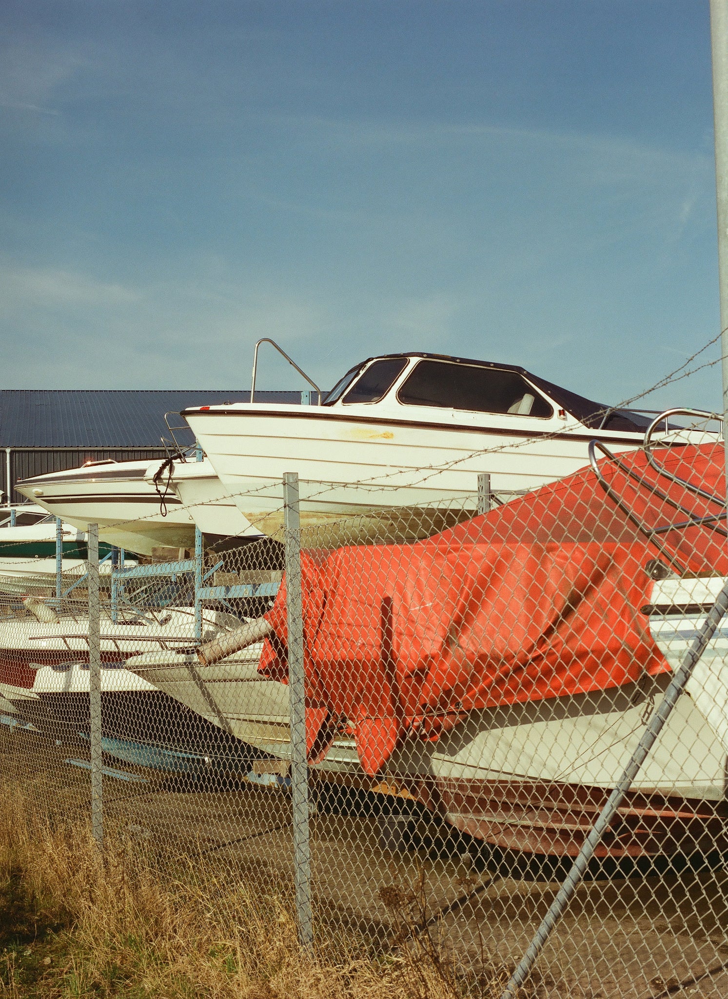 Cinestill 400D  120 TYPE