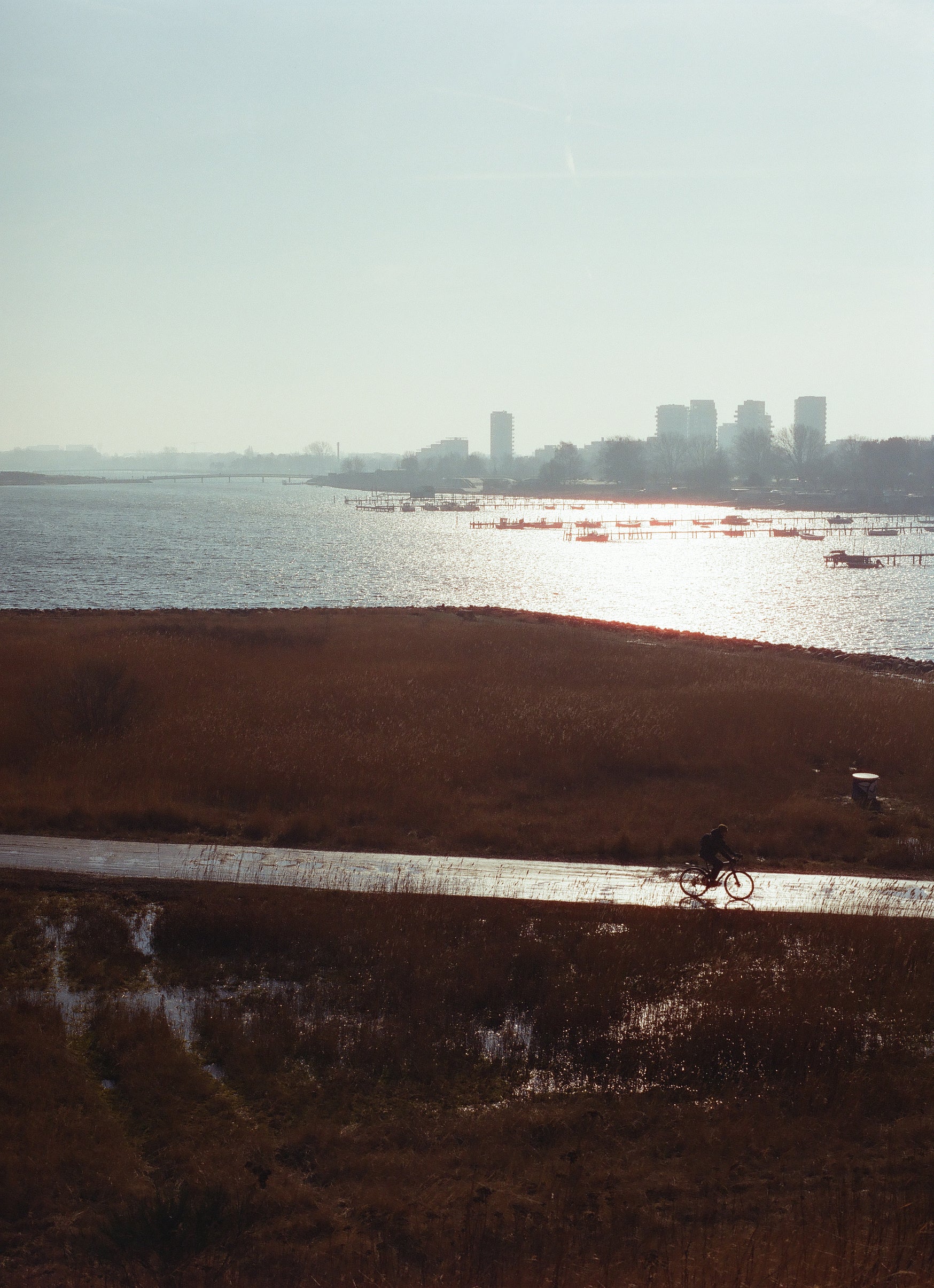 Cinestill 400D  120 TYPE