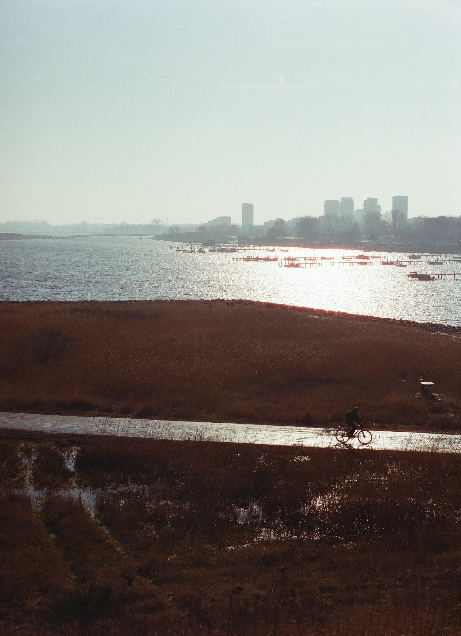 Cinestill 400D  120 TYPE
