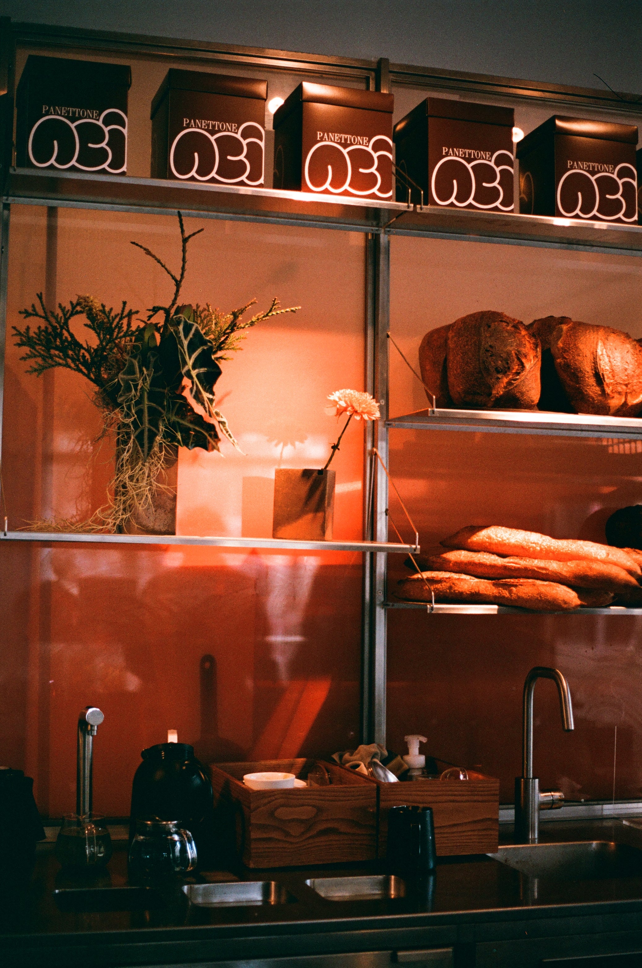 Lucky Color 200 Negative Film (35mm Roll Film, 36 Exposures)