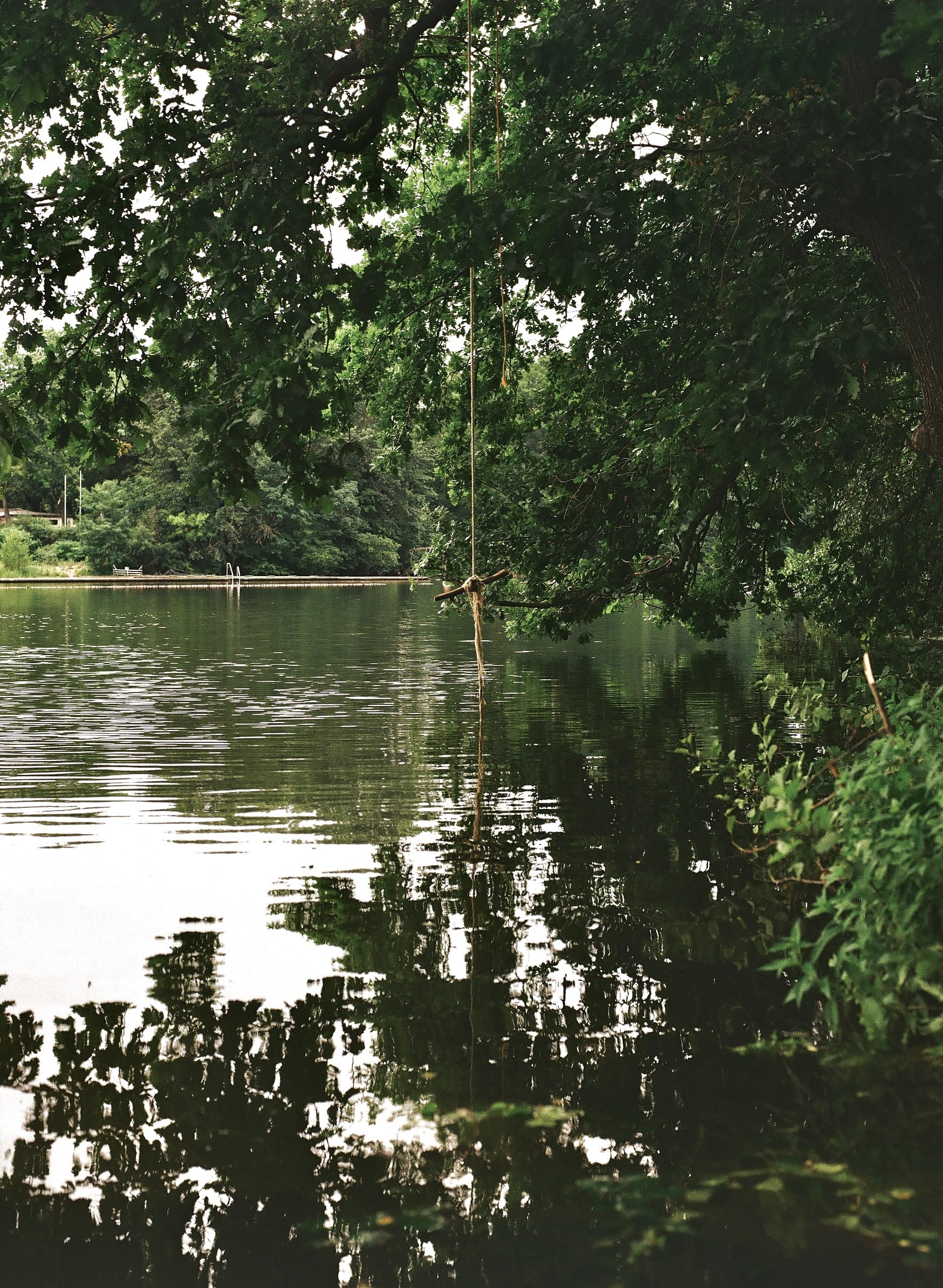 Kodak Gold 200 Color Negative Film (120 Roll Film), 1 Roll