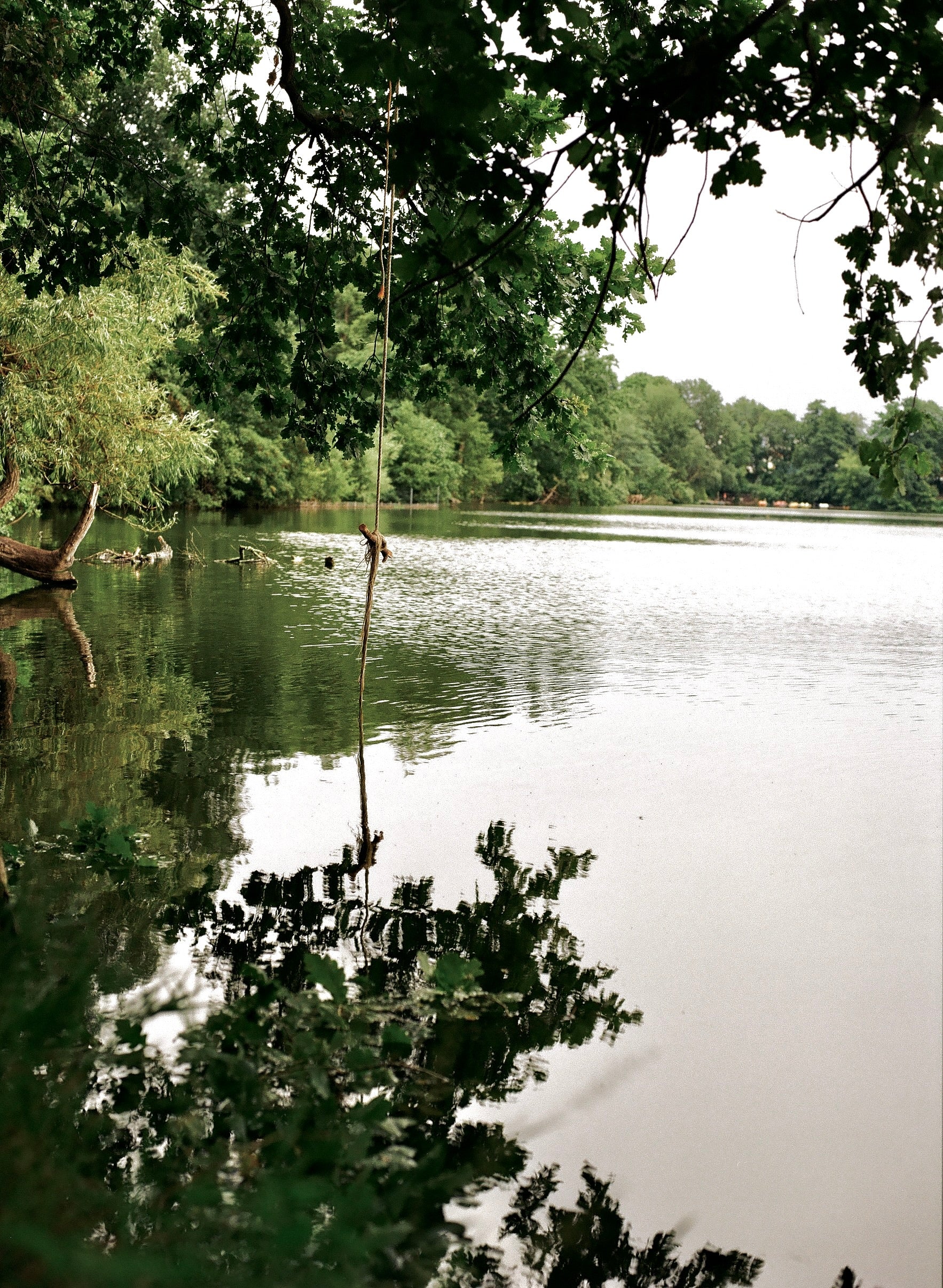 Kodak Gold 200 Color Negative Film (120 Roll Film), 1 Roll