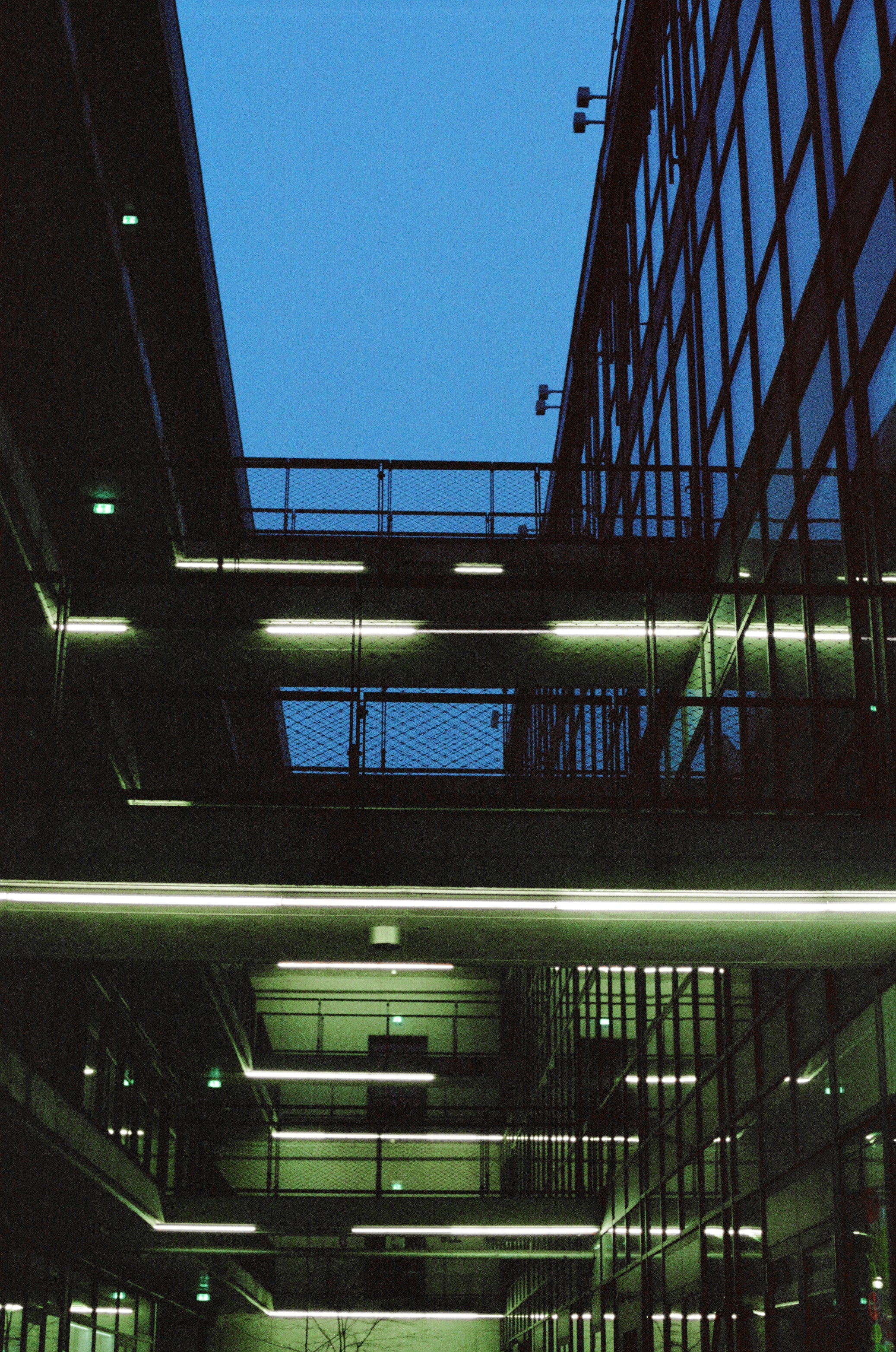 Kodak Vision 800T without Remjet (135 type roll film, 36 Exposures), 1 roll