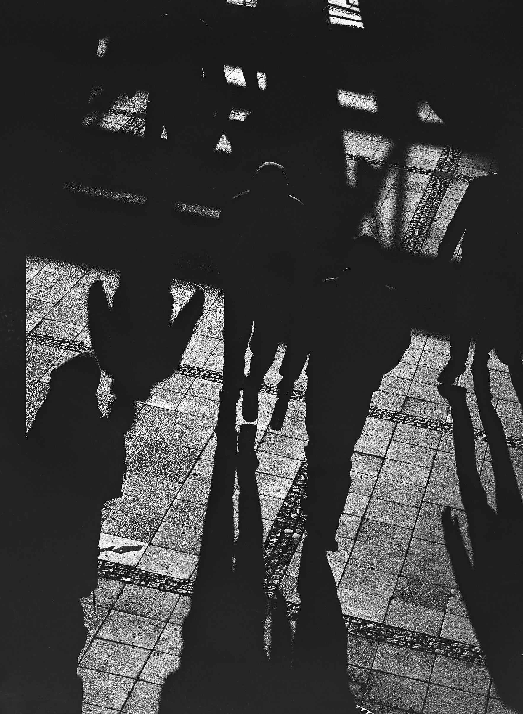 Ilford FP4 Plus BW Film (120 Roll Film)