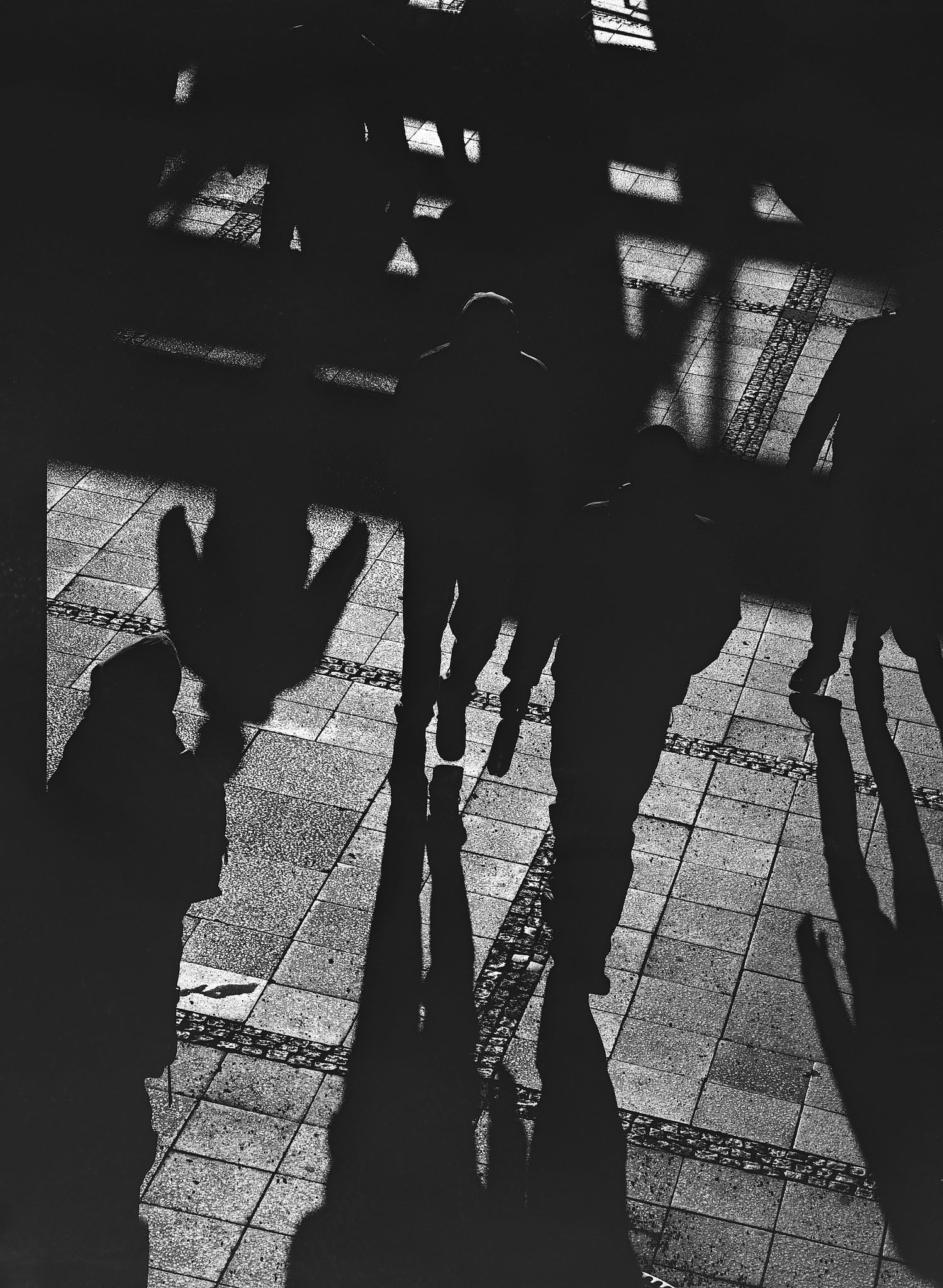 Ilford FP4 Plus BW Film (120 Roll Film)
