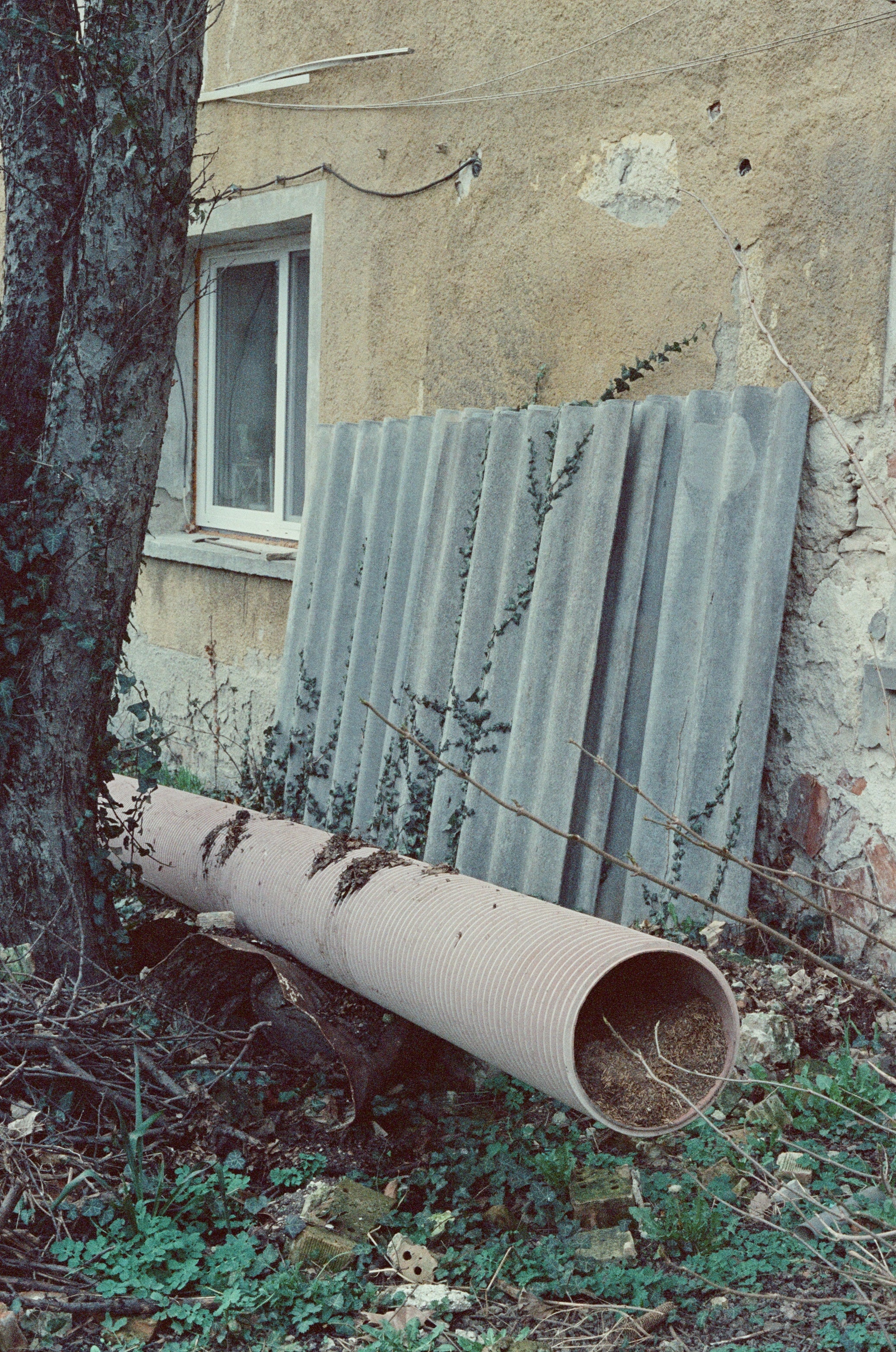 Kodak Vision 500T  (135 type roll film, 36 Exposures), 1 roll