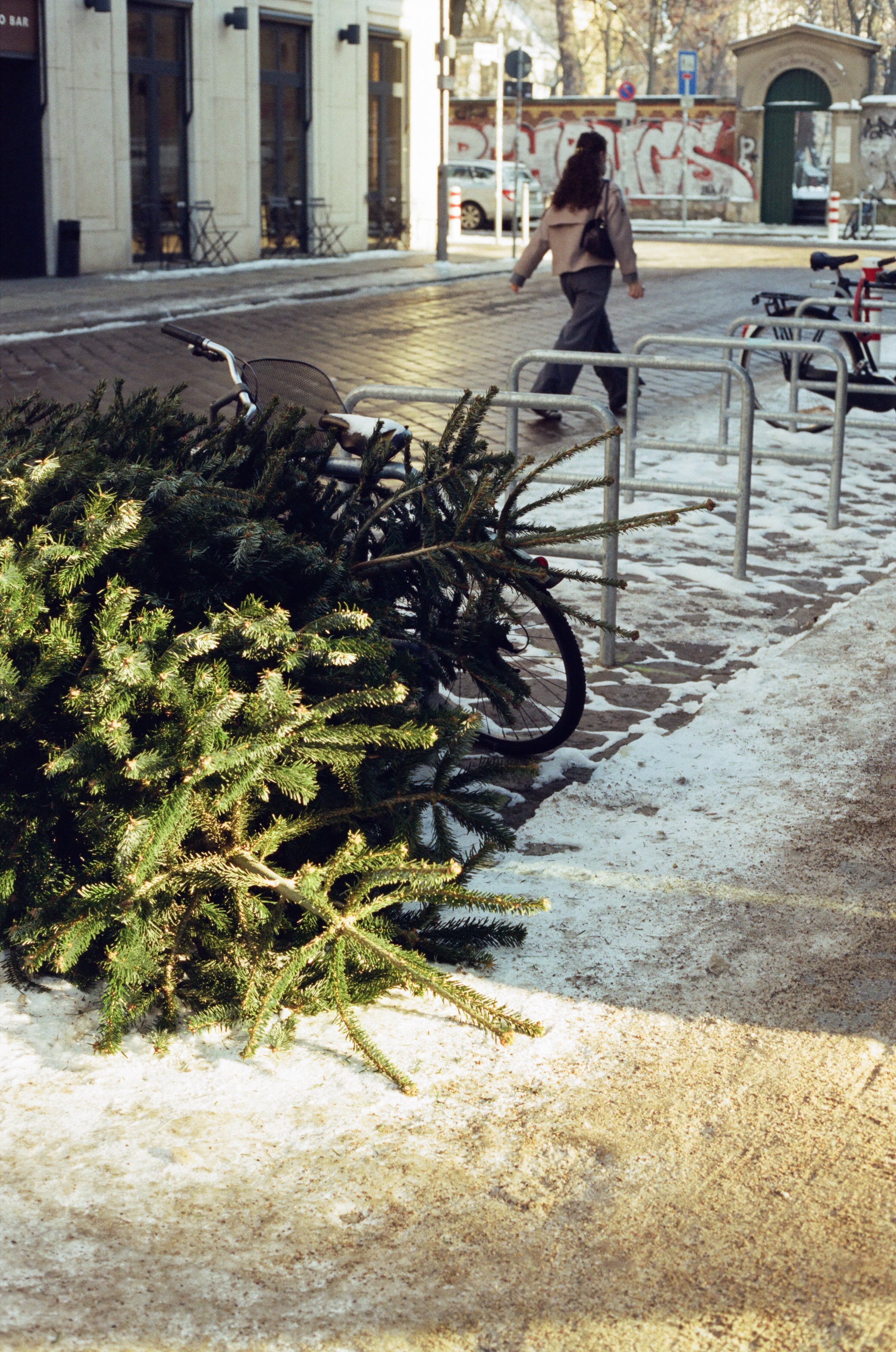 Kodak vision 400D without Remjet (135 type roll film, 36 exposures), 1 roll