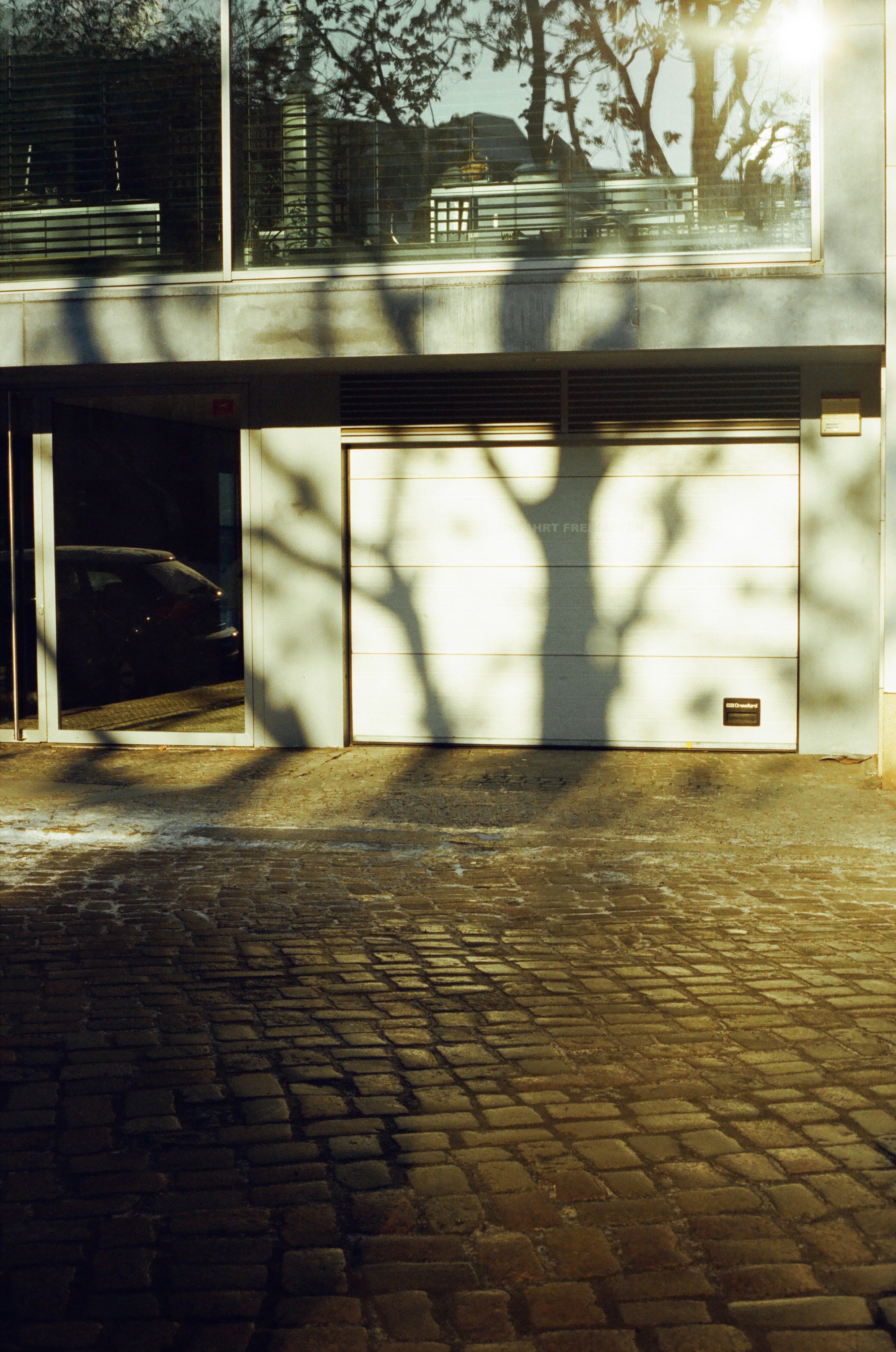 Kodak vision 400D without Remjet (135 type roll film, 36 exposures), 1 roll