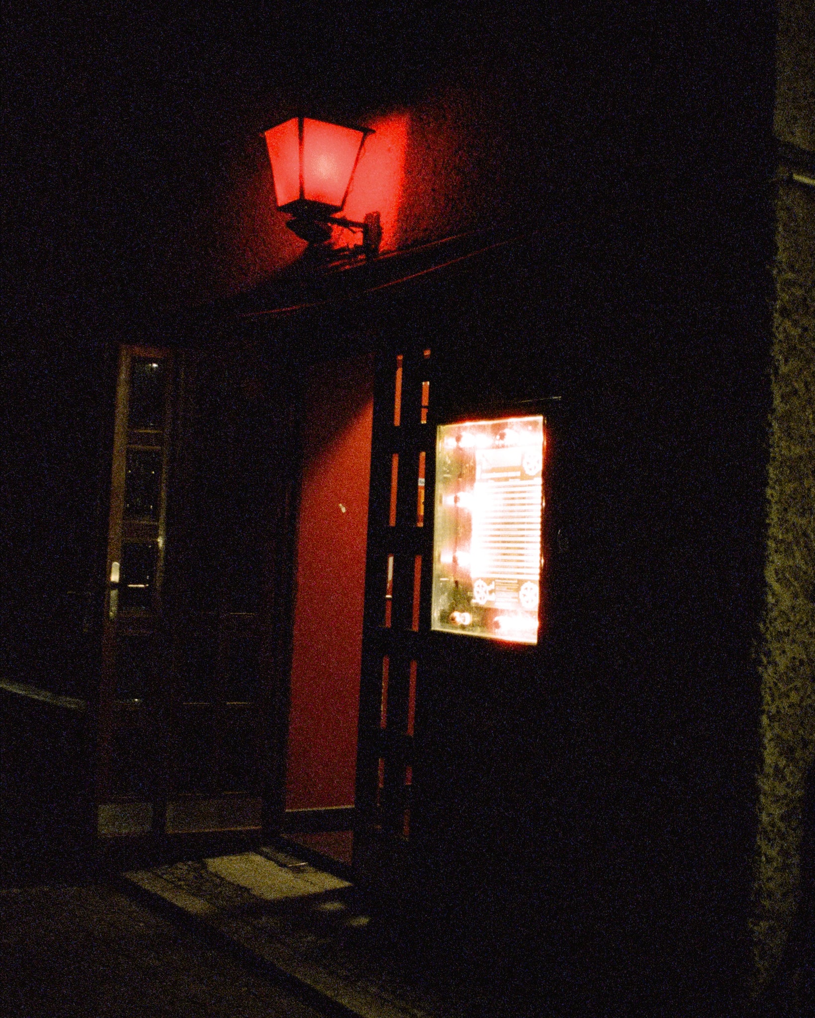 CineStill Film 800T Color Negative Film (35mm Roll Film, 36 Exposures)