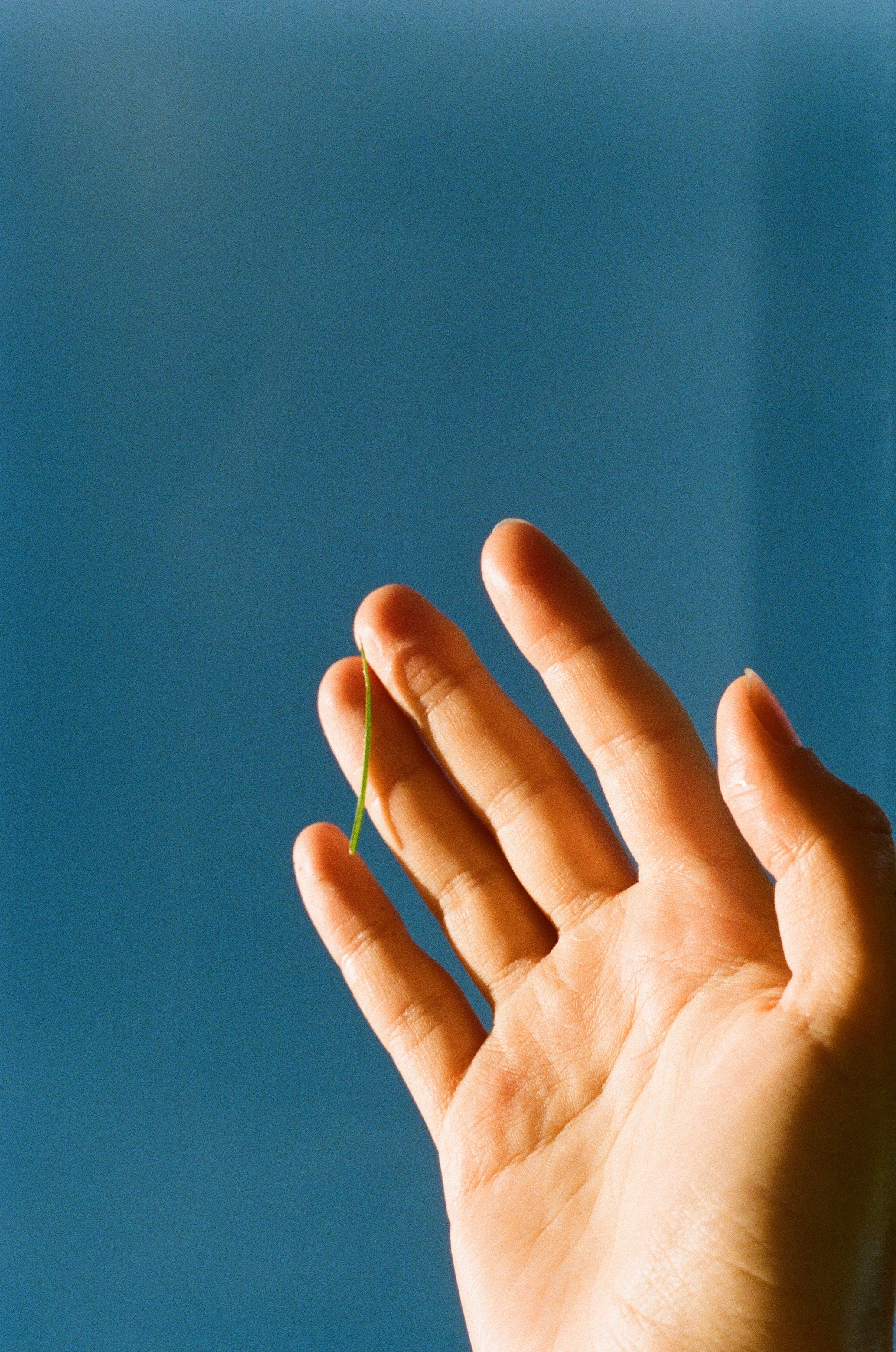 Film Scanning  (Noritsu)