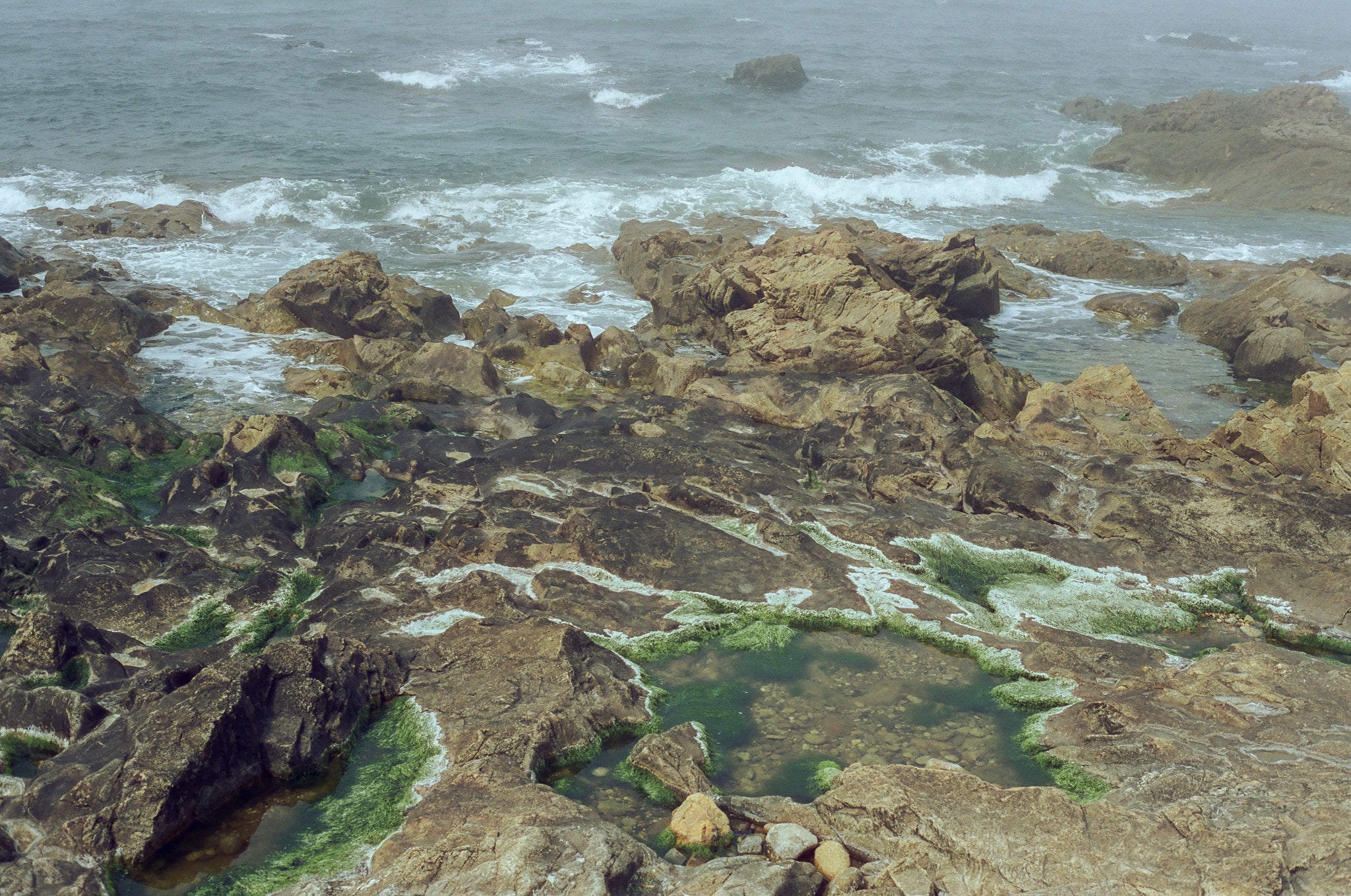 Color С41 Film Developing / Noritsu scan