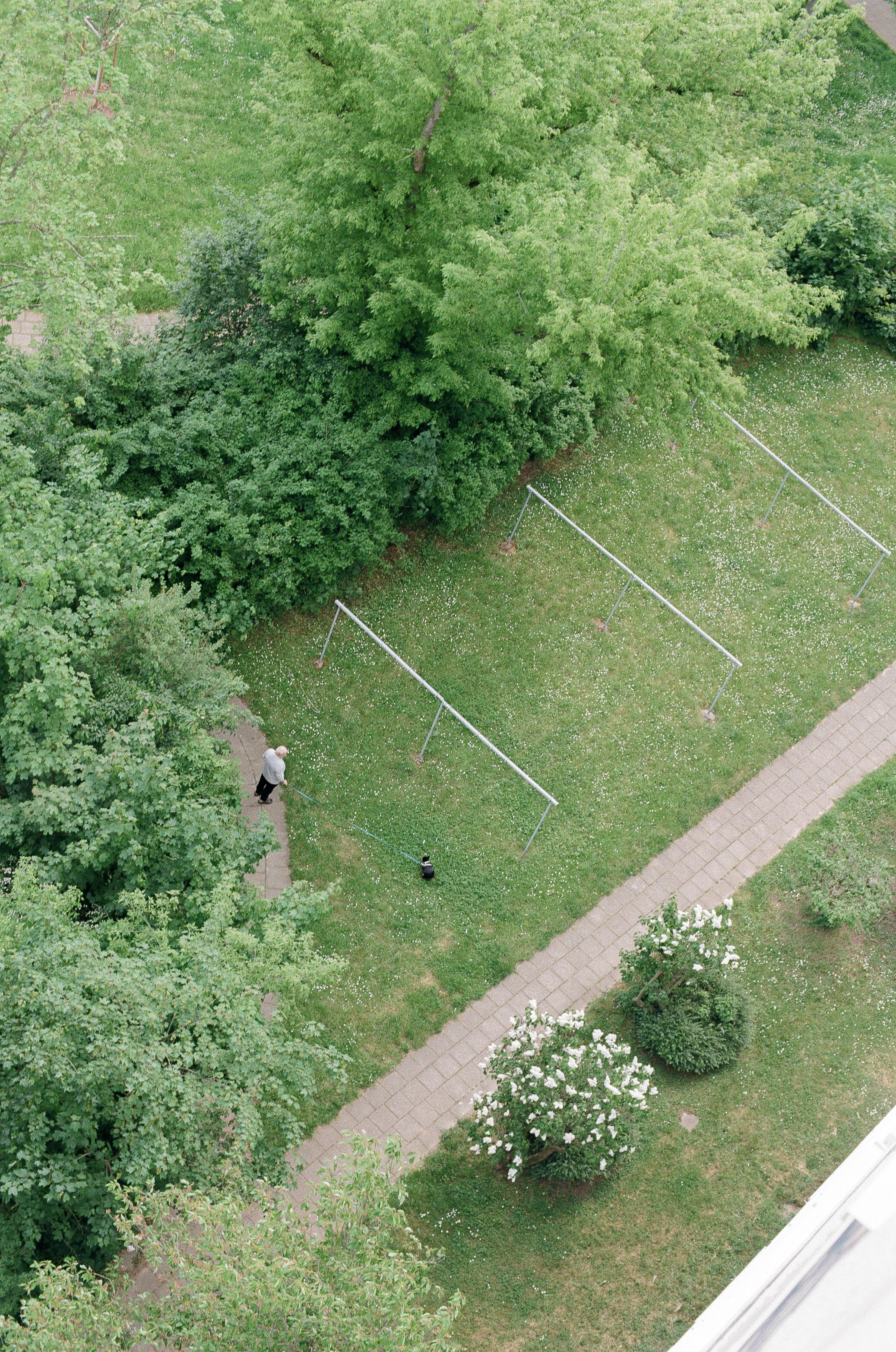 Color С41 Film Developing / Noritsu scan