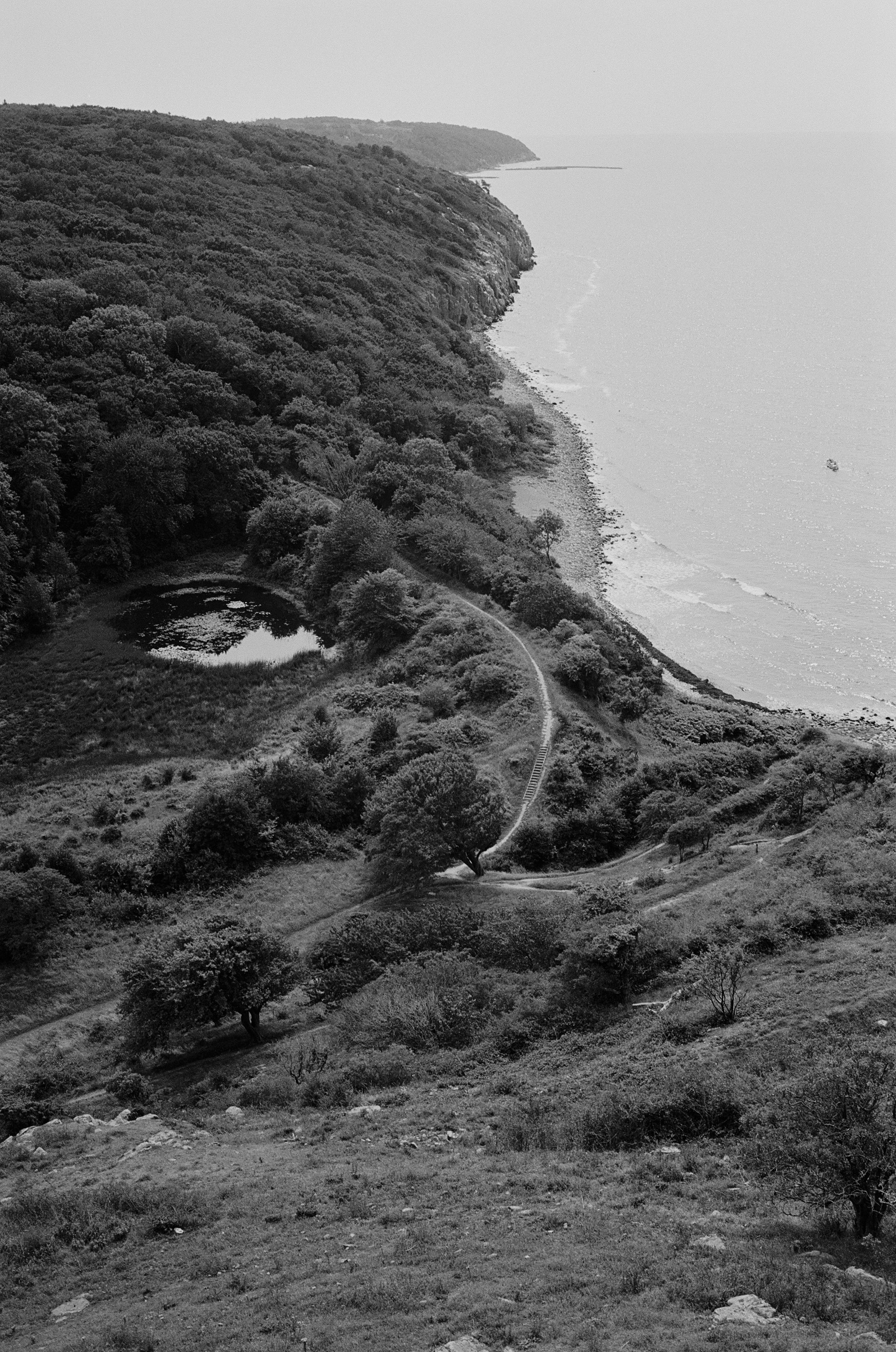 Film Scanning  (Noritsu)