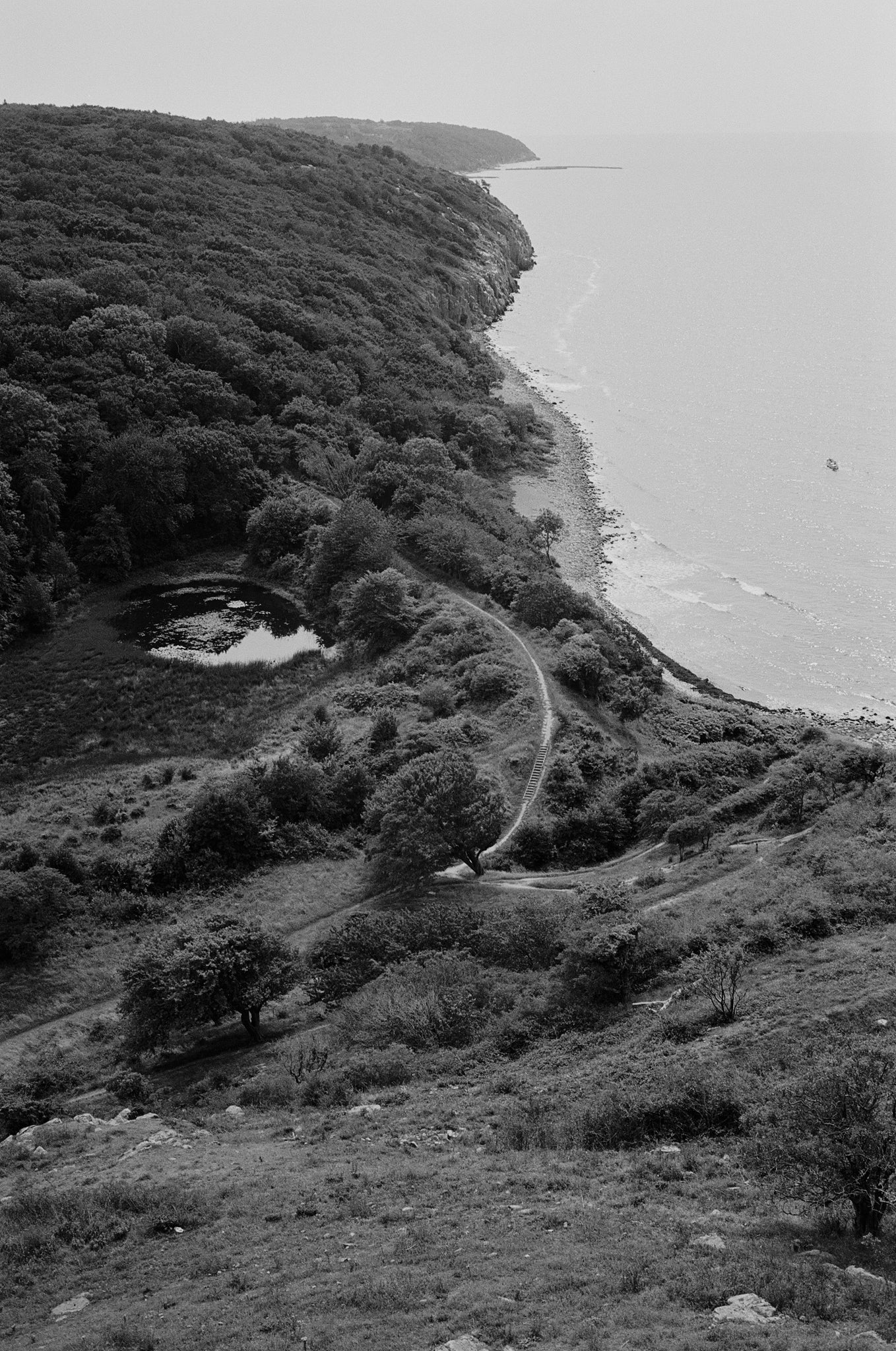 Film Scanning  (Noritsu)