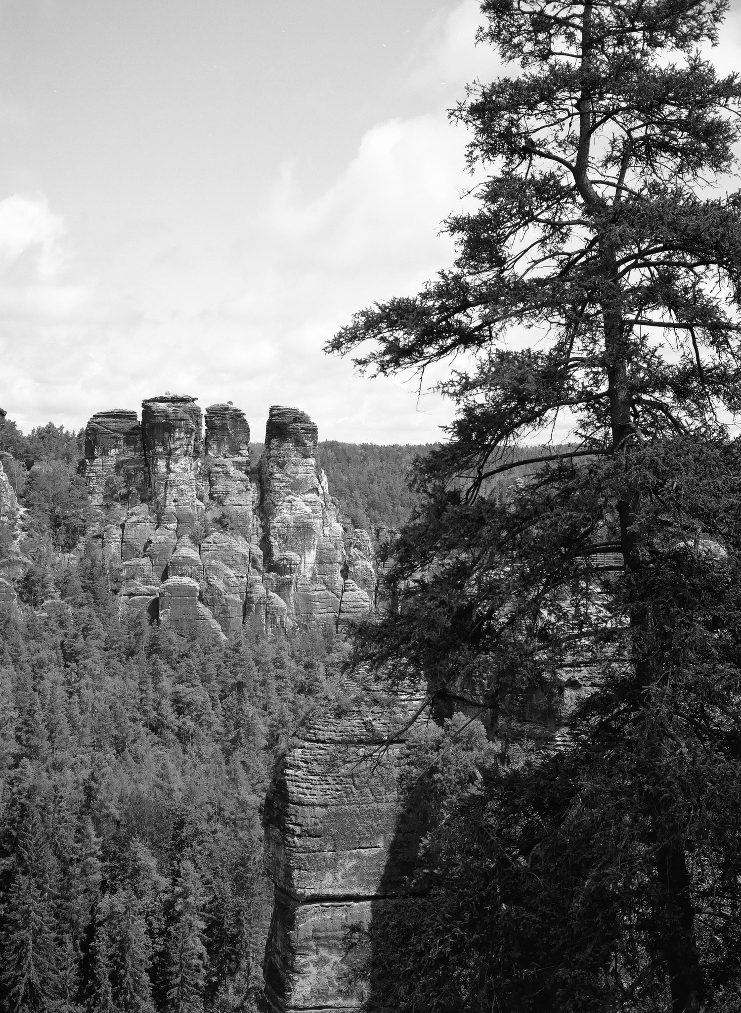 Black and White Film Developing / Noritsu scan