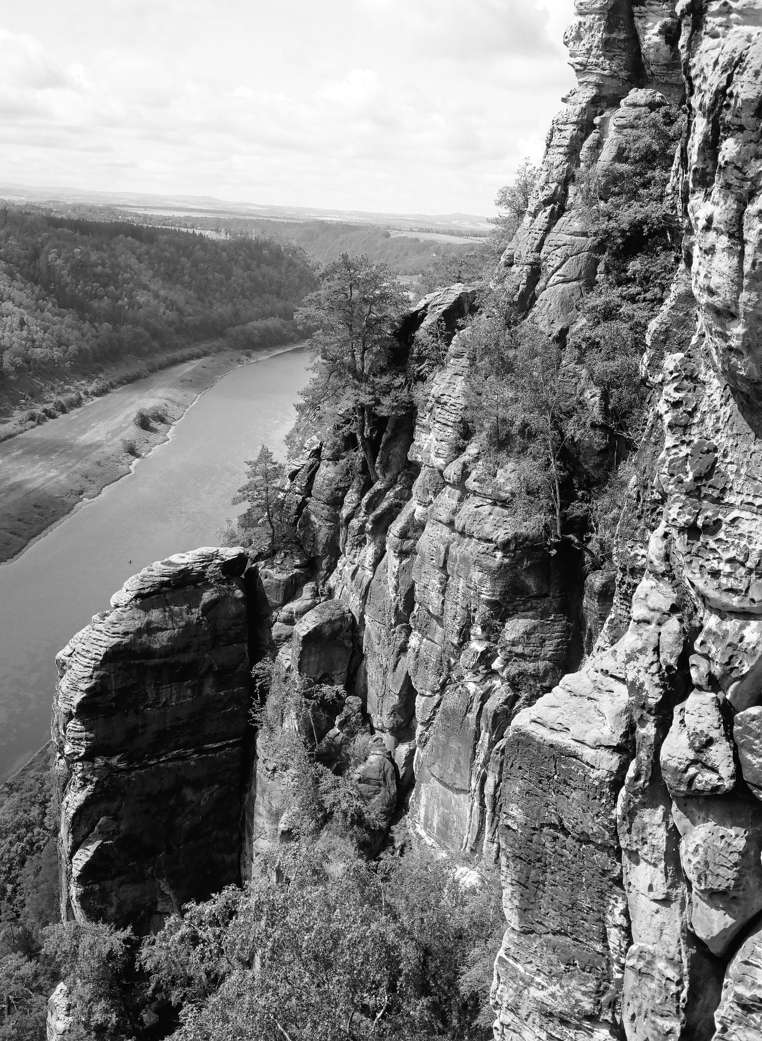 Black and White Film Developing / Noritsu scan