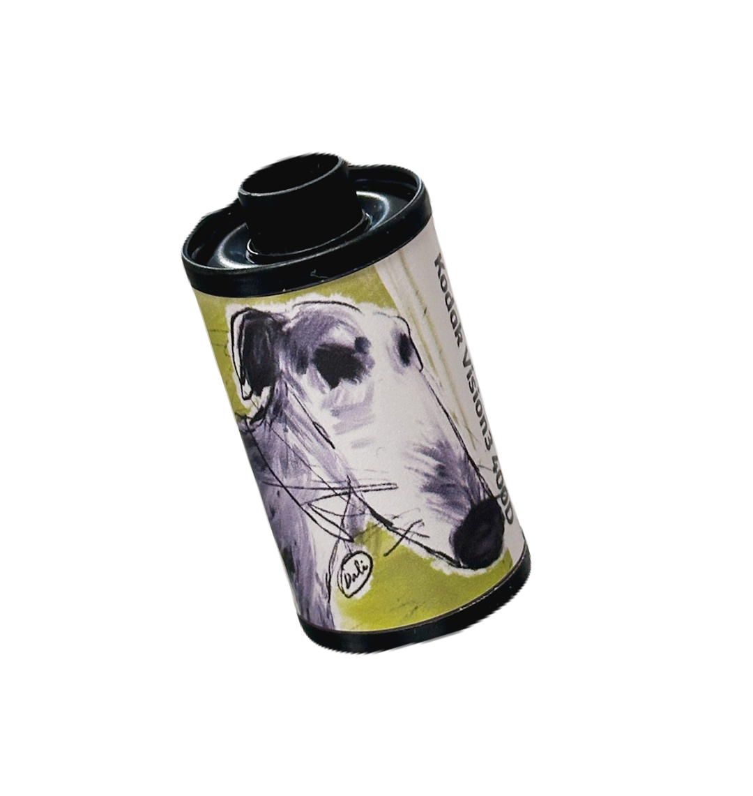 Kodak vision 400D without Remjet (135 type roll film, 36 exposures), 1 roll