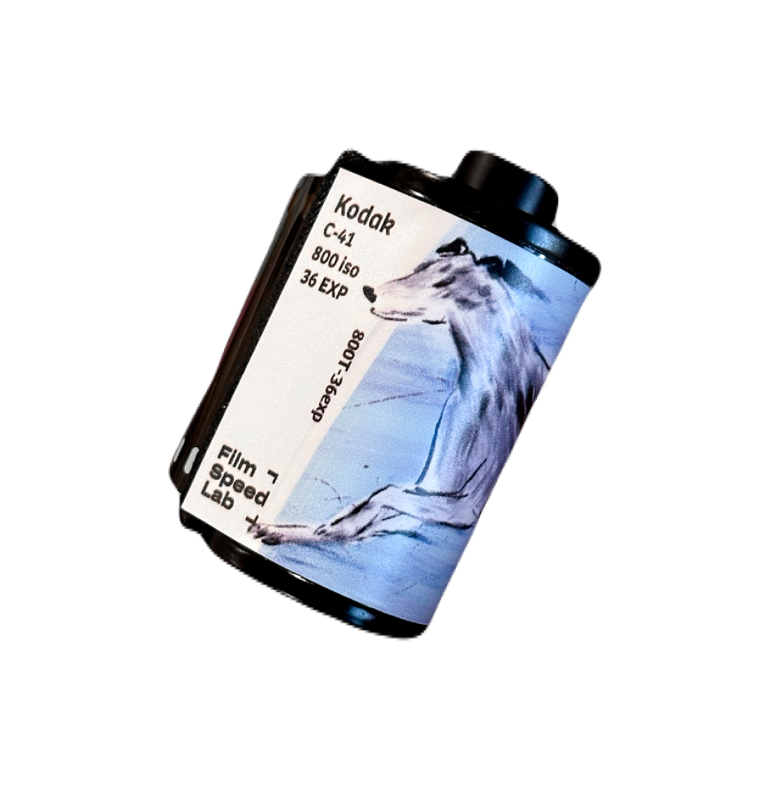 Kodak Vision 800T without Remjet (135 type roll film, 36 Exposures), 1 roll