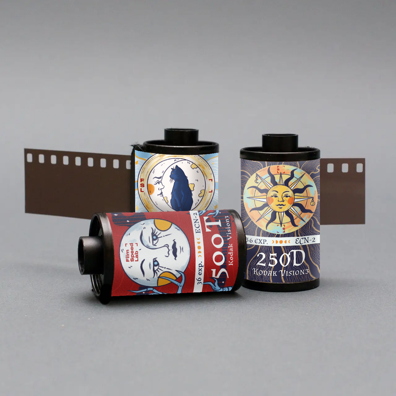 Kodak vision 250D  (135 type roll film, 36 Exposures), 1 roll