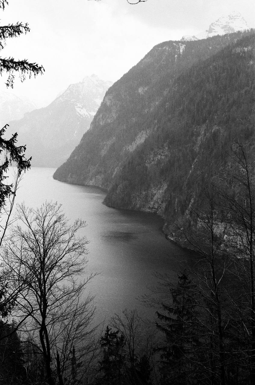 Black and White Film Developing 35mm, 110, 120 — Film Speed Lab