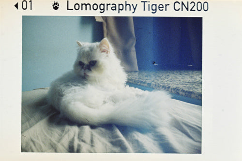 Lomography 200 color tiger 110 pocket film (24 exp.)
